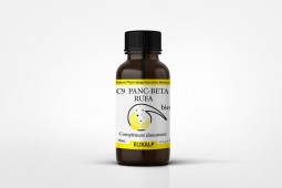 Panc Beta Rufa (C9) BIO