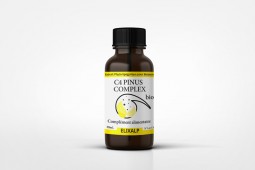 Pinus Complex (C4) BIO